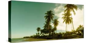 Palm Trees on the Beach in Morro De Sao Paulo, Tinhare, Cairu, Bahia, Brazil-null-Stretched Canvas