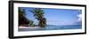 Palm Trees on the Beach, Indonesia-null-Framed Photographic Print