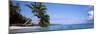 Palm Trees on the Beach, Indonesia-null-Mounted Photographic Print