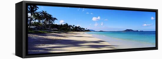 Palm Trees on the Beach, Lanikai Beach, Oahu, Hawaii, USA-null-Framed Stretched Canvas