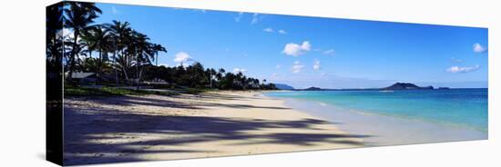 Palm Trees on the Beach, Lanikai Beach, Oahu, Hawaii, USA-null-Stretched Canvas