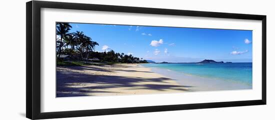 Palm Trees on the Beach, Lanikai Beach, Oahu, Hawaii, USA-null-Framed Premium Photographic Print