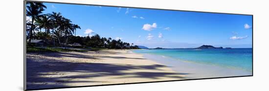 Palm Trees on the Beach, Lanikai Beach, Oahu, Hawaii, USA-null-Mounted Photographic Print