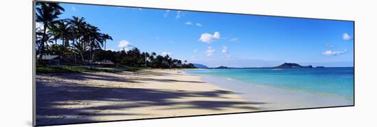 Palm Trees on the Beach, Lanikai Beach, Oahu, Hawaii, USA-null-Mounted Photographic Print