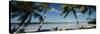 Palm Trees on the Beach, Mataiva, Tuamoto Islands, French Polynesia-null-Stretched Canvas