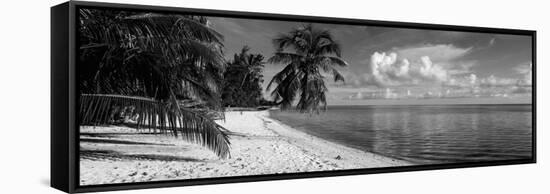 Palm Trees on the Beach, Matira Beach, Bora Bora, French Polynesia-null-Framed Stretched Canvas