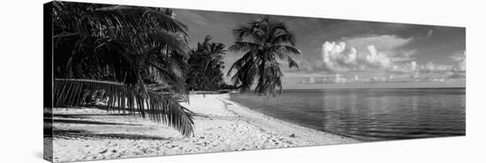 Palm Trees on the Beach, Matira Beach, Bora Bora, French Polynesia-null-Stretched Canvas