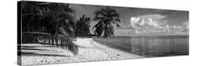 Palm Trees on the Beach, Matira Beach, Bora Bora, French Polynesia-null-Stretched Canvas