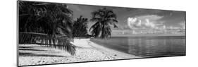 Palm Trees on the Beach, Matira Beach, Bora Bora, French Polynesia-null-Mounted Photographic Print