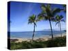 Palm Trees on the Beach, Maui, Hawaii, USA-null-Stretched Canvas