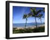 Palm Trees on the Beach, Maui, Hawaii, USA-null-Framed Photographic Print