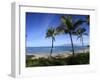 Palm Trees on the Beach, Maui, Hawaii, USA-null-Framed Photographic Print