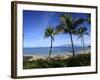 Palm Trees on the Beach, Maui, Hawaii, USA-null-Framed Photographic Print