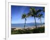 Palm Trees on the Beach, Maui, Hawaii, USA-null-Framed Photographic Print