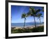 Palm Trees on the Beach, Maui, Hawaii, USA-null-Framed Photographic Print