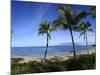 Palm Trees on the Beach, Maui, Hawaii, USA-null-Mounted Photographic Print