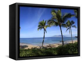 Palm Trees on the Beach, Maui, Hawaii, USA-null-Framed Stretched Canvas