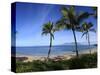Palm Trees on the Beach, Maui, Hawaii, USA-null-Stretched Canvas