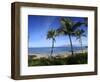 Palm Trees on the Beach, Maui, Hawaii, USA-null-Framed Photographic Print