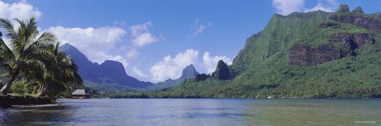 Photographic Print, , large