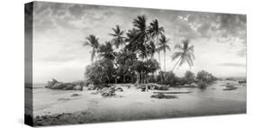 Palm Trees on the Beach, Morro De Sao Paulo, Tinhare, Cairu, Bahia, Brazil-null-Stretched Canvas