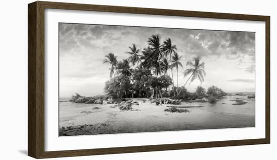 Palm Trees on the Beach, Morro De Sao Paulo, Tinhare, Cairu, Bahia, Brazil-null-Framed Photographic Print