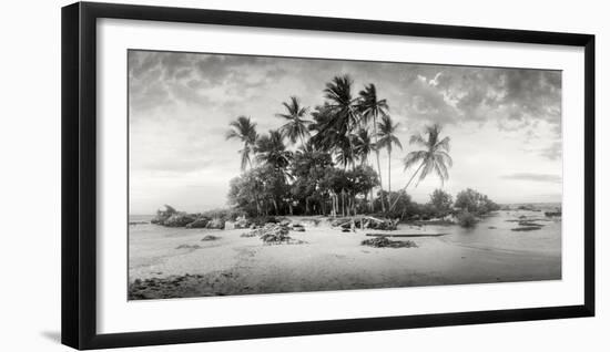 Palm Trees on the Beach, Morro De Sao Paulo, Tinhare, Cairu, Bahia, Brazil-null-Framed Photographic Print