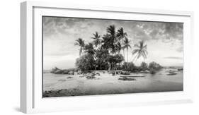 Palm Trees on the Beach, Morro De Sao Paulo, Tinhare, Cairu, Bahia, Brazil-null-Framed Photographic Print