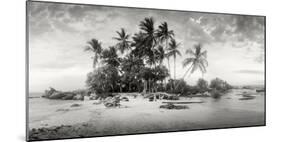 Palm Trees on the Beach, Morro De Sao Paulo, Tinhare, Cairu, Bahia, Brazil-null-Mounted Photographic Print