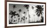 Palm Trees on the Beach, Morro De Sao Paulo, Tinhare, Cairu, Bahia, Brazil-null-Framed Photographic Print