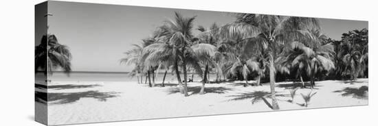 Palm Trees on the Beach, Negril, Jamaica-null-Stretched Canvas