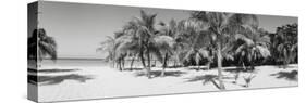 Palm Trees on the Beach, Negril, Jamaica-null-Stretched Canvas