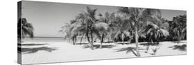 Palm Trees on the Beach, Negril, Jamaica-null-Stretched Canvas