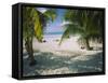 Palm Trees on the Beach, North Beach, Isla Mujeres, Quintana Roo, Mexico-null-Framed Stretched Canvas