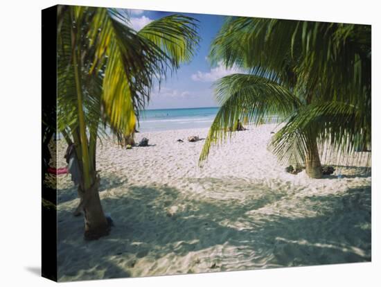Palm Trees on the Beach, North Beach, Isla Mujeres, Quintana Roo, Mexico-null-Stretched Canvas