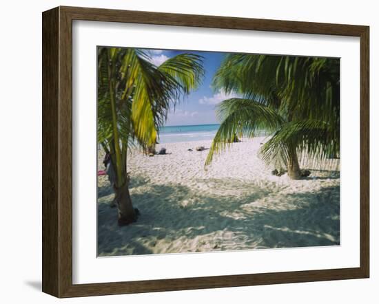 Palm Trees on the Beach, North Beach, Isla Mujeres, Quintana Roo, Mexico-null-Framed Photographic Print