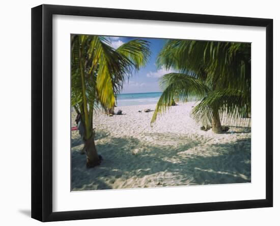 Palm Trees on the Beach, North Beach, Isla Mujeres, Quintana Roo, Mexico-null-Framed Photographic Print