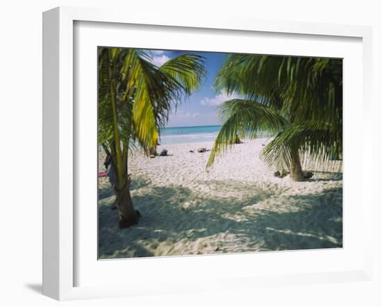 Palm Trees on the Beach, North Beach, Isla Mujeres, Quintana Roo, Mexico-null-Framed Photographic Print