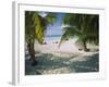 Palm Trees on the Beach, North Beach, Isla Mujeres, Quintana Roo, Mexico-null-Framed Photographic Print