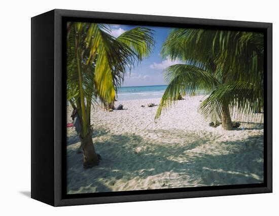 Palm Trees on the Beach, North Beach, Isla Mujeres, Quintana Roo, Mexico-null-Framed Stretched Canvas