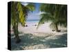Palm Trees on the Beach, North Beach, Isla Mujeres, Quintana Roo, Mexico-null-Stretched Canvas