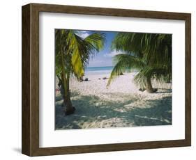 Palm Trees on the Beach, North Beach, Isla Mujeres, Quintana Roo, Mexico-null-Framed Photographic Print