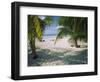 Palm Trees on the Beach, North Beach, Isla Mujeres, Quintana Roo, Mexico-null-Framed Photographic Print