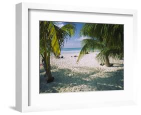 Palm Trees on the Beach, North Beach, Isla Mujeres, Quintana Roo, Mexico-null-Framed Photographic Print