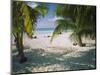 Palm Trees on the Beach, North Beach, Isla Mujeres, Quintana Roo, Mexico-null-Mounted Photographic Print