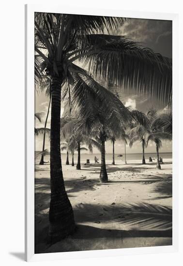 Palm Trees on the Beach, Playa Luquillo Beach, Luquillo, Puerto Rico-null-Framed Photographic Print