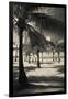 Palm Trees on the Beach, Playa Luquillo Beach, Luquillo, Puerto Rico-null-Framed Photographic Print