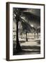 Palm Trees on the Beach, Playa Luquillo Beach, Luquillo, Puerto Rico-null-Framed Photographic Print