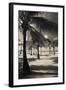 Palm Trees on the Beach, Playa Luquillo Beach, Luquillo, Puerto Rico-null-Framed Photographic Print