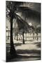 Palm Trees on the Beach, Playa Luquillo Beach, Luquillo, Puerto Rico-null-Mounted Photographic Print